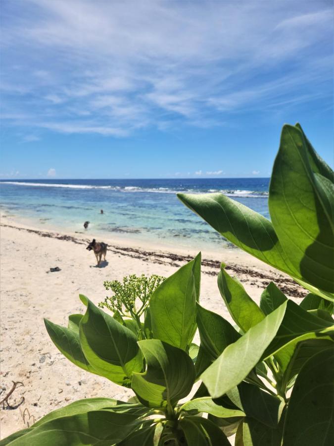 Green Villa Moorea Temae Екстер'єр фото